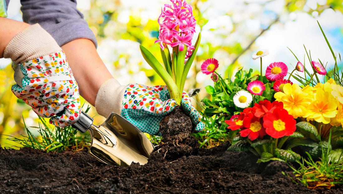 What is Electroculture Gardening? Does it Help Plants Grow?