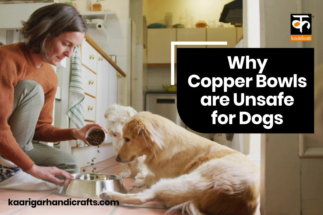 Can Dogs Drink from Copper Bowls? What Pet Owners Need to Know