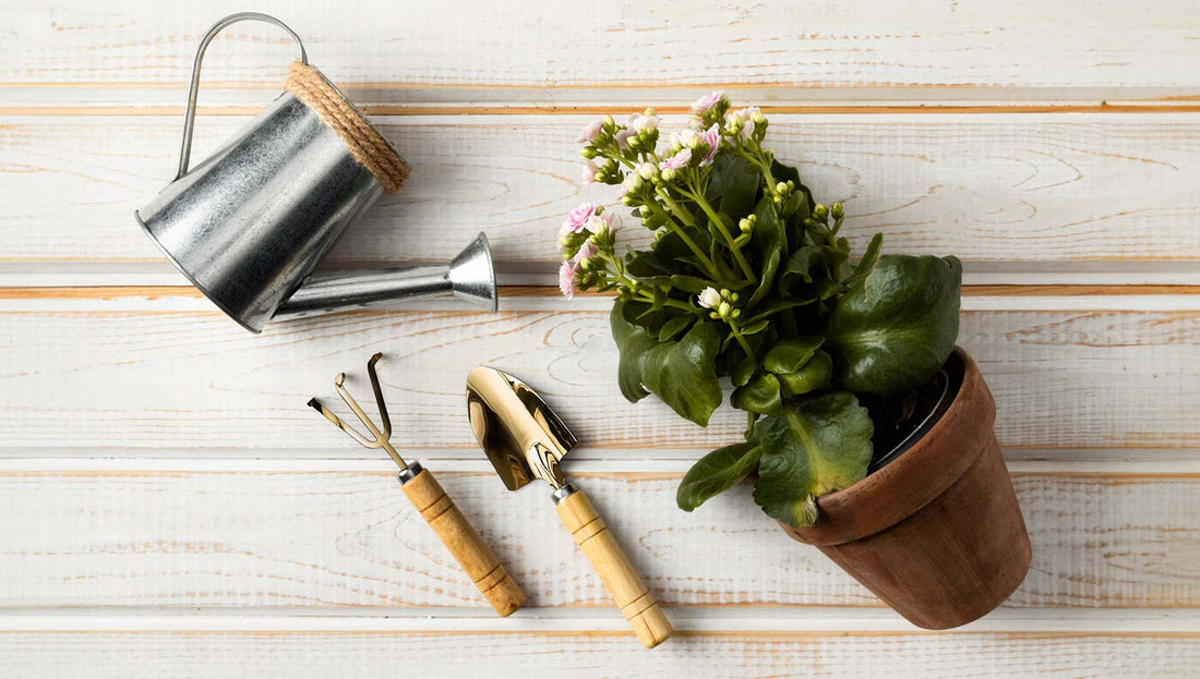 Care for the Planet- use Copper Tools in your Garden