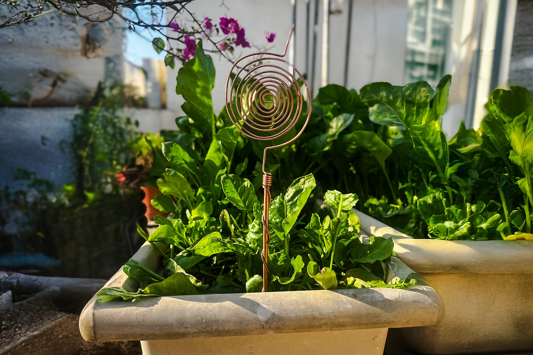 Electroculture Gardening Copper Antenna